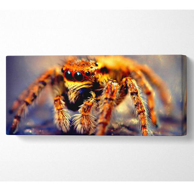 Spinne in Nahaufnahme - Panorama-Kunstdrucke auf Canvas-Leinwand Ebern Designs Größe: 81,3 cm H x 183 cm B x 10 cm T on Productcaster.