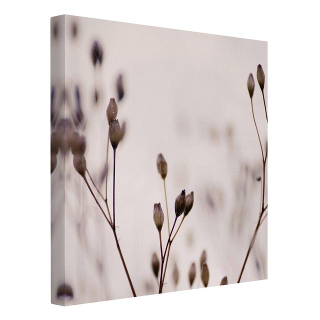 Dark Buds on the Wild Flower Branch by Monika Strigel - Wrapped Canvas Graphic Art Ebern Designs Size: 40cm H x 40cm W, Format: 330g/m² recycled canva on Productcaster.