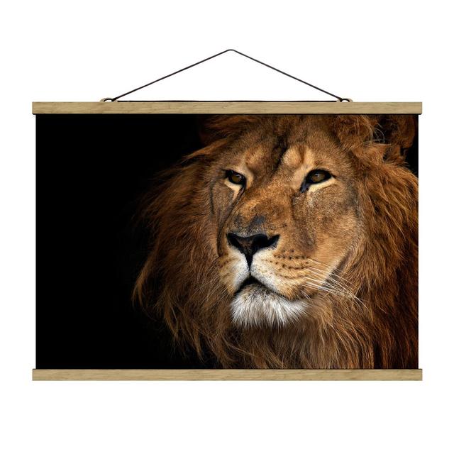 Lion's Eye - Photograph Print Ebern Designs Size: 53.5cm H x 80cm W x 0.3cm D on Productcaster.