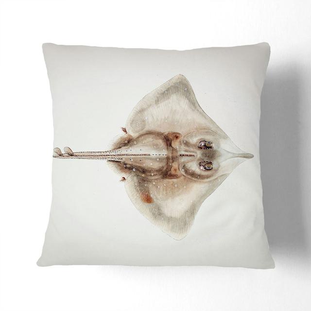 Illustration of a Rough Skate Fish by F.E. Clarke Cushion with Filling East Urban Home Size: 55cm H x 55cm W x 20cm D on Productcaster.