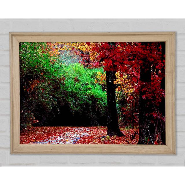 The Autumn Red Road - Print Union Rustic Size: 59.7cm H x 84.1cm W x 1.5cm D on Productcaster.