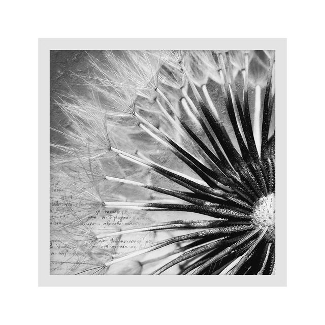 Dandelion Black and White - Picture Frame Graphic Art Rosalind Wheeler Size: 70cm H x 70cm W x 2cm D, Frame Option: White Framed on Productcaster.