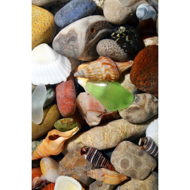 Stones And Rocks And Shells by Michelle Calkins - Wrapped Canvas Art Prints 17 Stories Size: 91cm H x 61cm W on Productcaster.