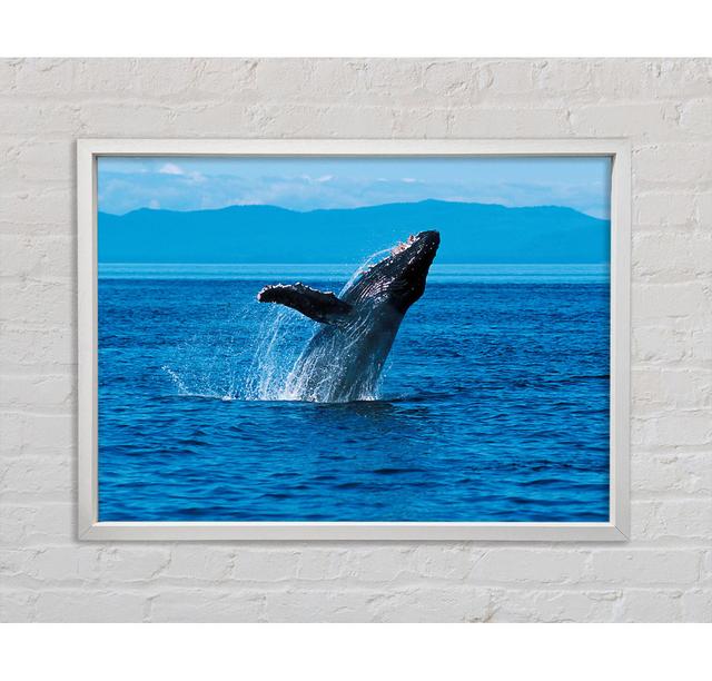 Gerahmtes Bild Whale Ocean Jump Haus am Meer Größe: 100 cm H x 141,4 cm B x 3,3 cm T on Productcaster.