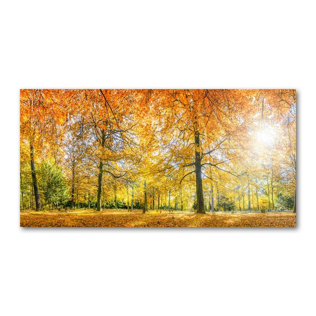 Autumn Forest - Wrapped Canvas Art Prints Union Rustic on Productcaster.