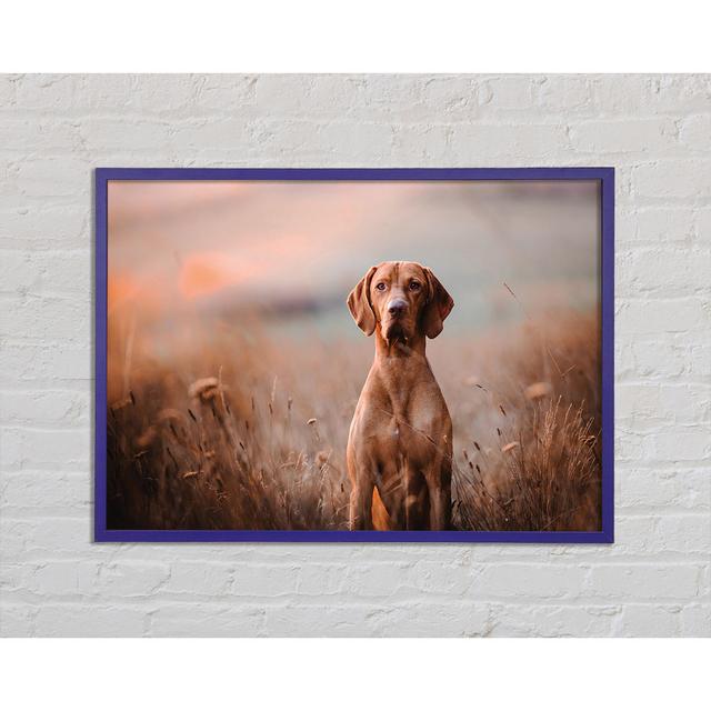 Dog Obedience - Single Picture Frame Art Prints Ebern Designs Size: 59.7cm H x 84.1cm W x 2cm D on Productcaster.