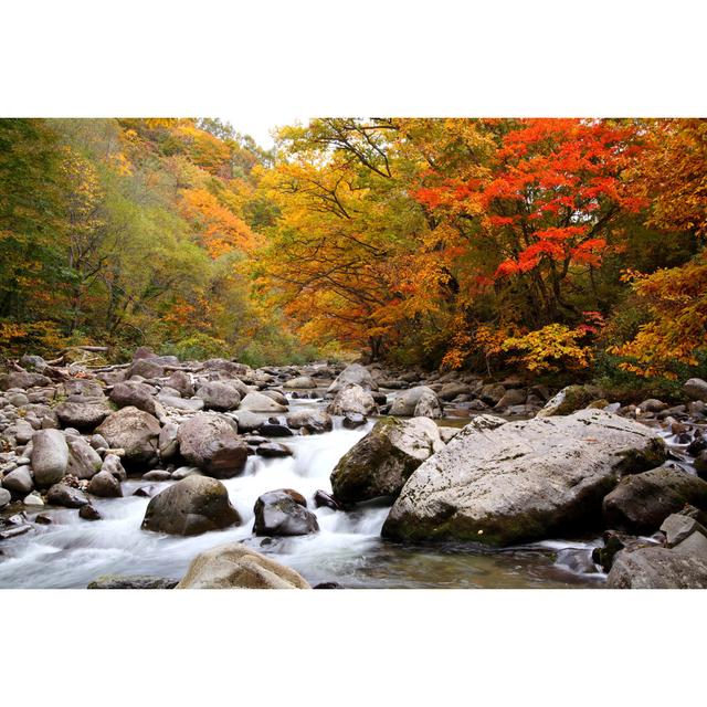 Autumn Colours of Valley - Wrapped Canvas Photograph Alpen Home Size: 20cm H x 30cm W x 3.8cm D on Productcaster.