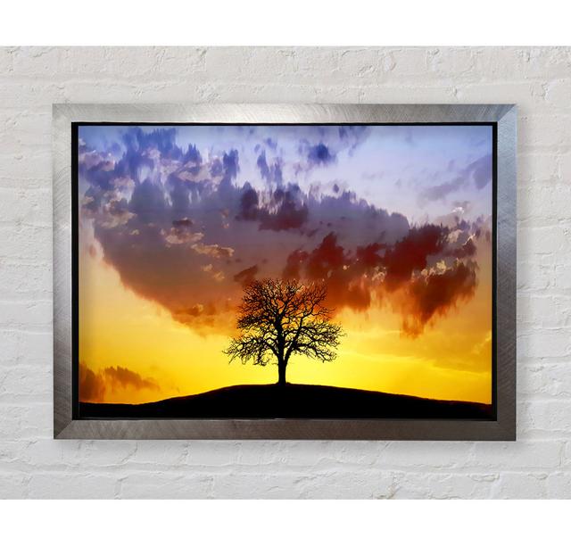 Gerahmtes Wandbild Tree In The Morning Light Brayden Studio Größe: 42cm H x 59,7cm B x 3,4cm T, Format: Poster mit silberfarbenem Rahmen on Productcaster.