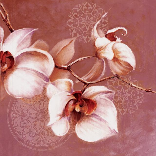 Dark Pink Orchids - Wrapped Canvas Painting ClassicLiving Size: 30cm H x 30cm W x 3.8cm D on Productcaster.