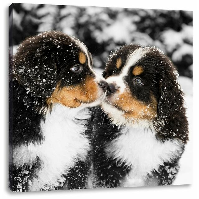 Leinwandbild Süße Bernersennenhunde im Schnee East Urban Home Größe: 70 cm H x 70 cm B on Productcaster.