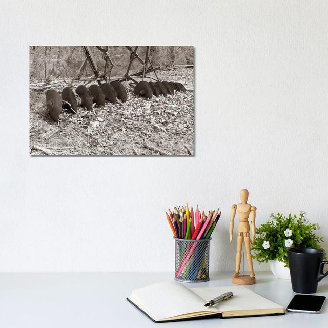 Sepia Farm Study III by Alicia Ludwig - Wrapped Canvas Print Alpen Home Size: 20.32cm H x 30.48cm W x 1.91cm D on Productcaster.