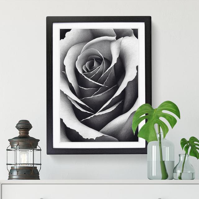 Rose Stippling - Single Picture Frame Painting Latitude Run Size: 64cm H x 46cm W x 2cm D, Frame Option: Oak on Productcaster.