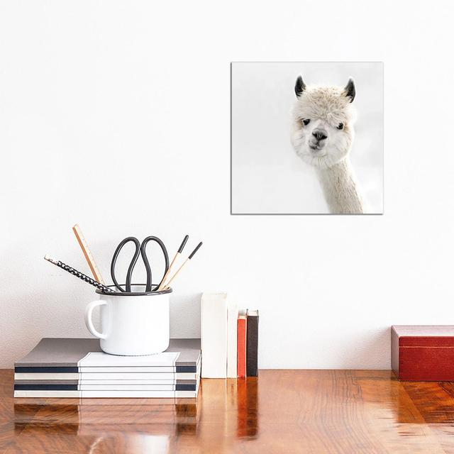 Peeky Alpaca Square by Monika Strigel - Wrapped Canvas Print Natur Pur Size: 30.48cm H x 30.48cm W x 1.9cm D on Productcaster.