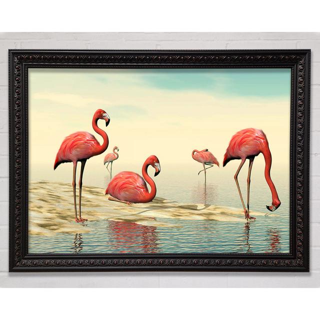 Pink Flamingo Batheing Framed Print Bright Star Size: 100cm H x 141.4cm W on Productcaster.