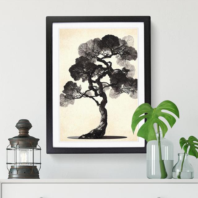 Pear Tree Shadow Vol.2 - Single Picture Frame Print ClassicLiving Size: 34cm H x 25cm W x 2cm D, Frame Option: Walnut on Productcaster.