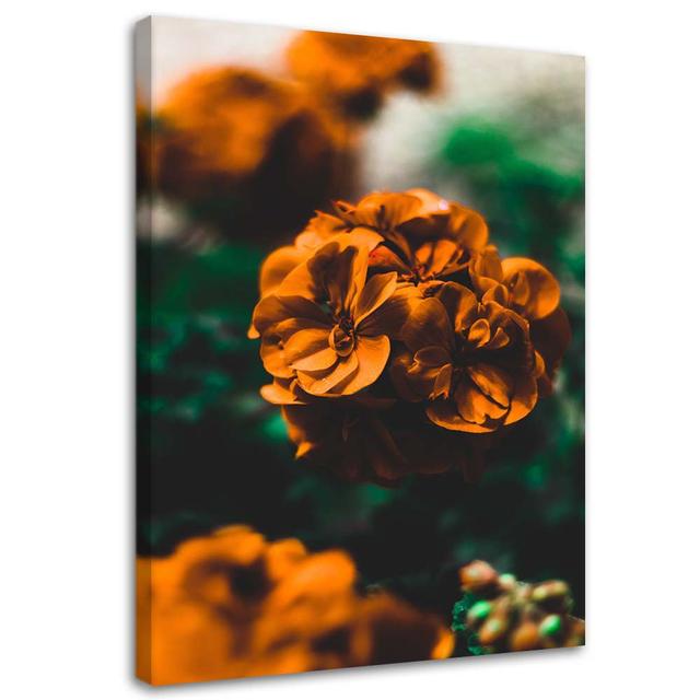 Orange Flowers - Wrapped Canvas Photograph Print Latitude Run Size: 120cm H x 80cm W x 3cm D on Productcaster.