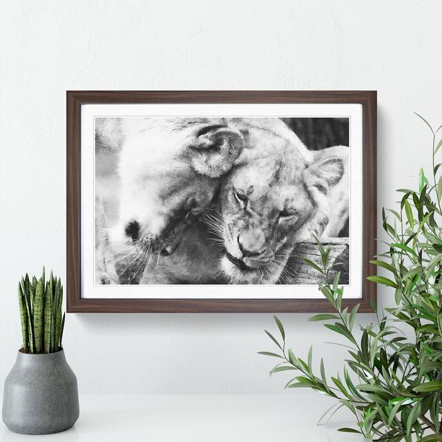 Two Snuggling Lions Painting East Urban Home Format: Walnut, Size: 33cm H x 45cm W x 2cm D on Productcaster.