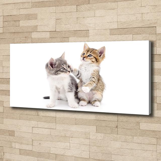 Two Small Cats - Unframed Art Prints on Canvas Brayden Studio on Productcaster.