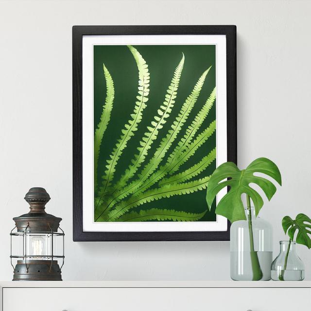 Fern Leaf Beauty - Picture Frame Graphic Art Pergo Classics Size: 46cm H x 34cm W x 2cm D, Frame Colour: Oak on Productcaster.