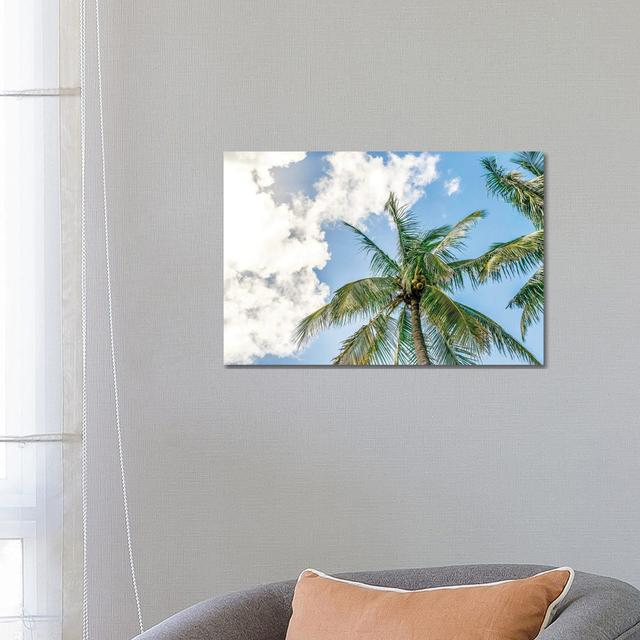 Paradise by Alex Tonetti - Wrapped Canvas Print 17 Stories Size: 45.72cm H x 66.04cm W x 3.81cm D on Productcaster.