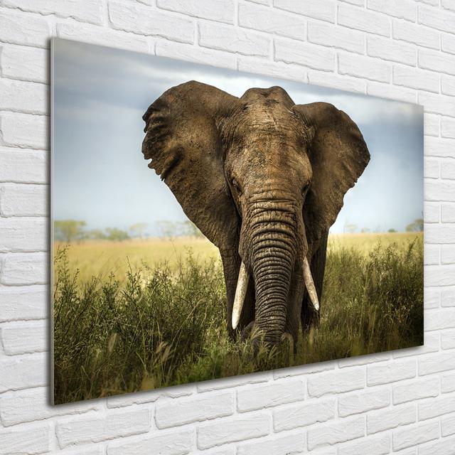 Glass Print Wall Art 100X70cm Image Printed On Glass Decorative Wall Picture Behind Toughened / Tempered Safety Real Glass For Kitchen & Living Room T on Productcaster.