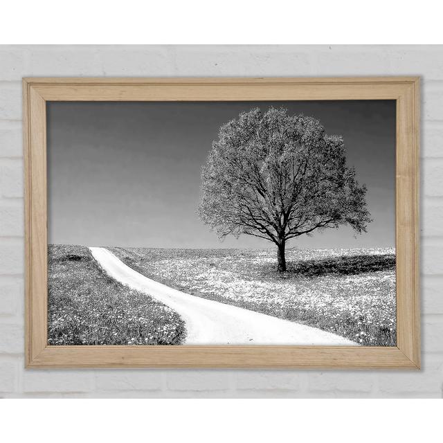 Single Picture Frame Art Prints Ebern Designs Size: 59.7cm H x 84.1cm W on Productcaster.