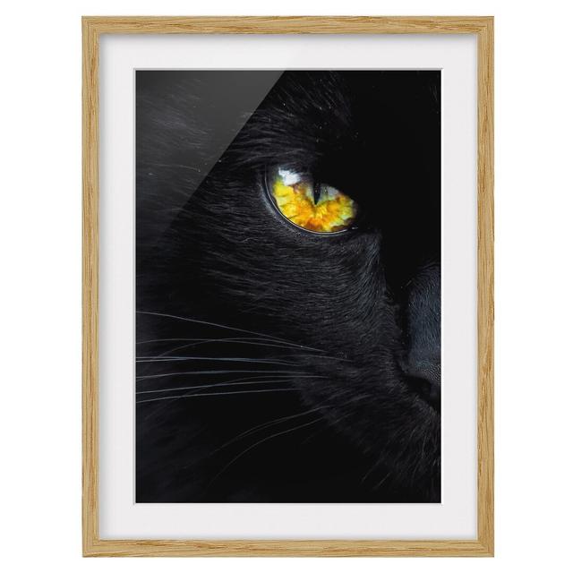 Hypnotic Gaze Framed Print East Urban Home Size: 70cm H x 50cm W, Frame Options: Natural oak on Productcaster.