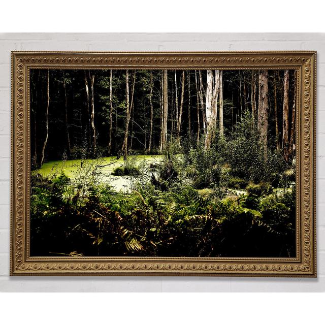 Swamp In The Depth Of The Forest Framed Print Bright Star Size: 59.7cm H x 84.1cm W x 3cm D on Productcaster.