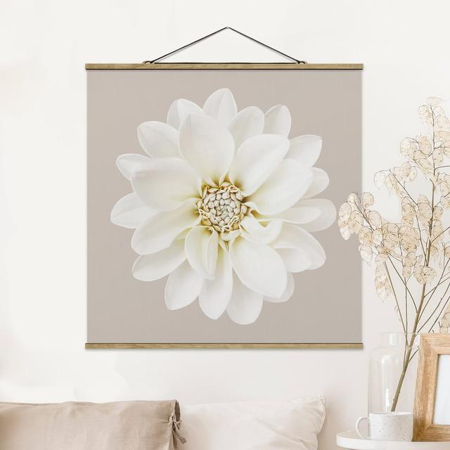 Dahlia White Taupe Pastel Centered - Photograph Print Mercer41 Size: 80cm H x 80cm W x 0.3cm D on Productcaster.