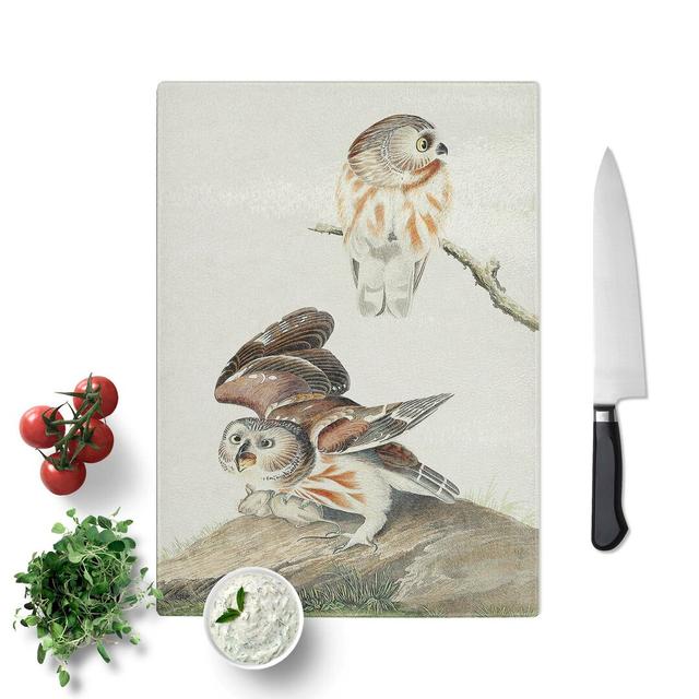 Glass Little Owls by John James Audubon Chopping Board East Urban Home Size: 39 cm W x 28.5 cm L on Productcaster.