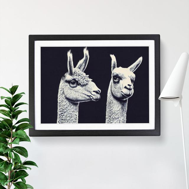 Two Llamas Vol.4 - Picture Frame Graphic Art Latitude Vive Frame Colour: Black Framed, Size: 34cm H x 46cm W x 2cm D on Productcaster.