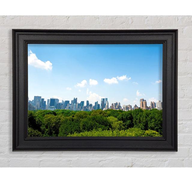 Central Park New York City Framed Print 17 Stories Size: 29.7cm H x 42cm W on Productcaster.