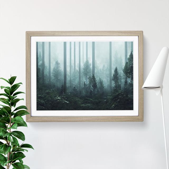 Pretty Forest - Picture Frame Graphic Art Alpen Home Size: 25cm H x 34cm W, Frame Colour: Brown on Productcaster.