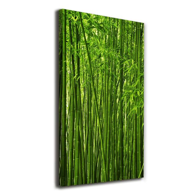 Bamboo Forest - Kunstdrucke auf Leinwand Sansibar Home on Productcaster.