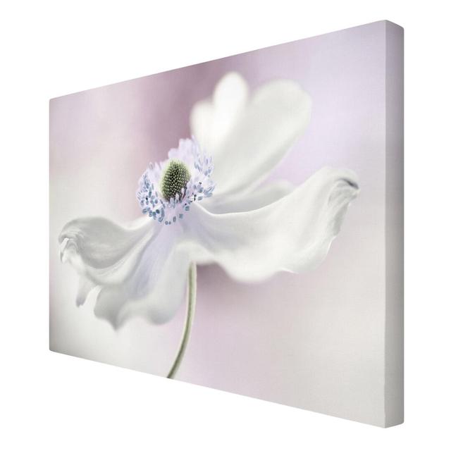 Anemone Breeze Graphic Art Print on Canvas East Urban Home Size: 60cm L x 40cm W on Productcaster.