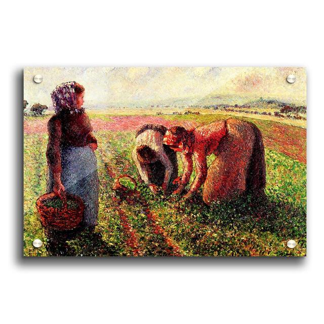 Peas Growing in Eragny by Camille Pissarro - Unframed Painting Print on Paper East Urban Home Size: 29.7cm H x 42cm W on Productcaster.