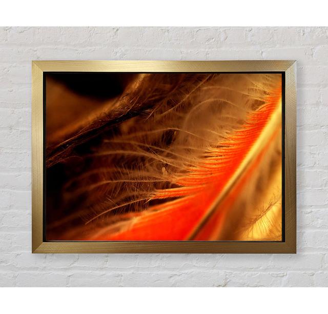 Orange Feather Macro - Picture Frame Art Prints Bright Star Size: 84.1cm H x 118.9cm W x 3.4cm D on Productcaster.