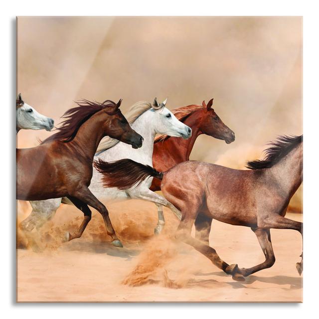 Western Horses In Desert - No Frame Print on Glass Gracie Oaks Size: 80cm H x 80cm W x 0.4cm D on Productcaster.