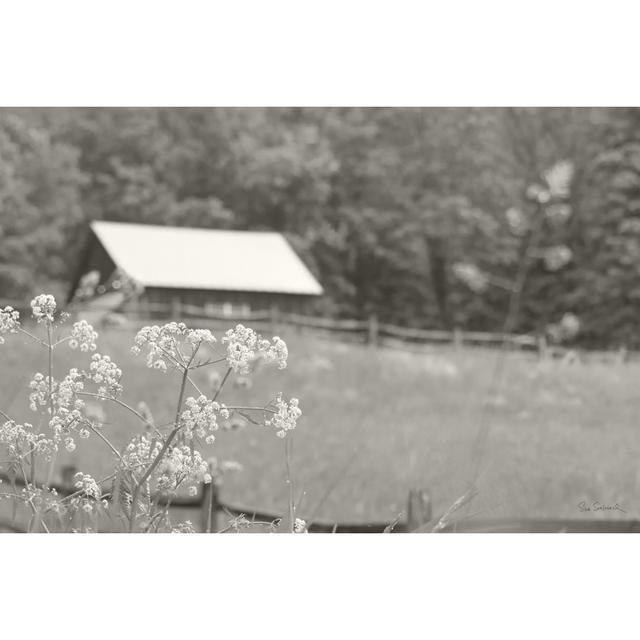 Summer Farm III BW by Sue Schlabach - Wrapped Canvas Art Prints Brambly Cottage Size: 51cm H x 76cm W x 3.8cm D on Productcaster.