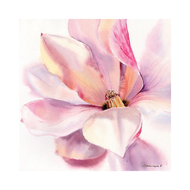 Magnolia Flower by HomelikeArt - No Frame Gallery-Wrapped Canvas Giclée on Canvas ClassicLiving Size: 66.04cm H x 66.04cm W on Productcaster.