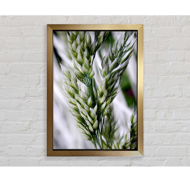 Soft Winters Barley - Einzelner Bilderrahmen Kunstdrucke Ebern Designs Größe: 118,9 cm H x 84,1 cm B x 3,4 cm T, Format: Poster mit goldenem Rahmen on Productcaster.