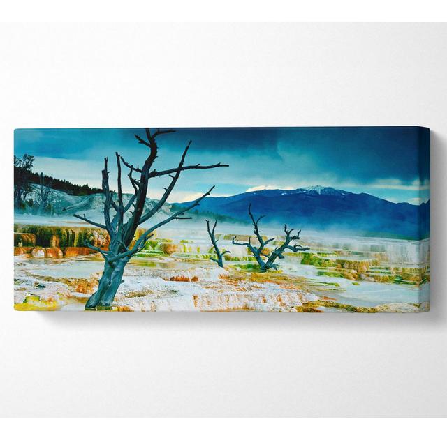 Snow Desert Trees Panoramic Canvas Union Rustic Size: 40.6cm H x 101.6cm W 10cm D on Productcaster.