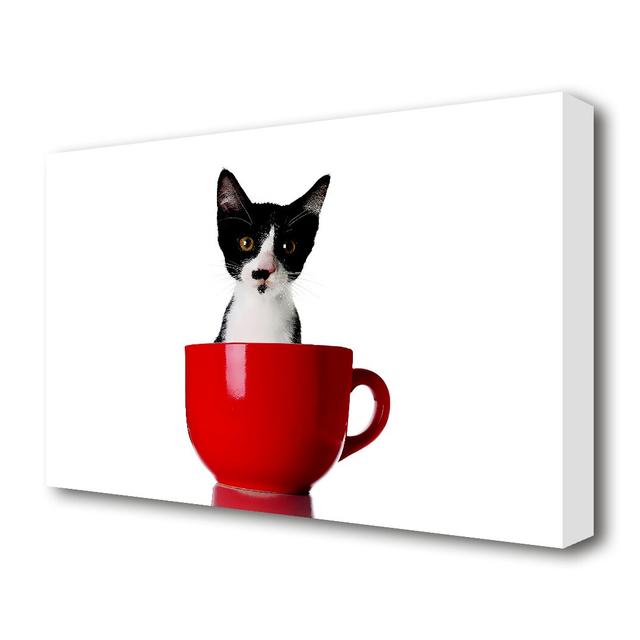 'Cat in a Tea Cup Wildlife' Photographic Print on Canvas East Urban Home Size: 66 cm H x 101.6 cm W on Productcaster.