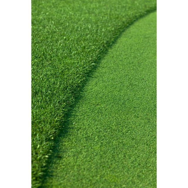 Golf Green by 35007 - No Frame Art Prints on Canvas 17 Stories Size: 46cm H x 30cm W on Productcaster.