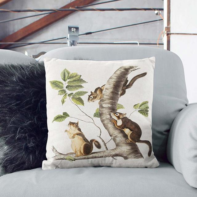 Douglass's Squirrels Square Throw Cushion East Urban Home Backing Colour: White, Size: 40cm H x 40cm W x 15cm D on Productcaster.