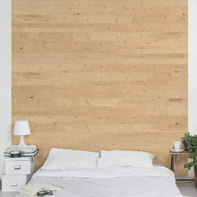 Apple Birch Tree 2.88m x 2.88m Textured Matte Peel & Stick Wall Mural East Urban Home Size: 2.4m x 2.4m on Productcaster.