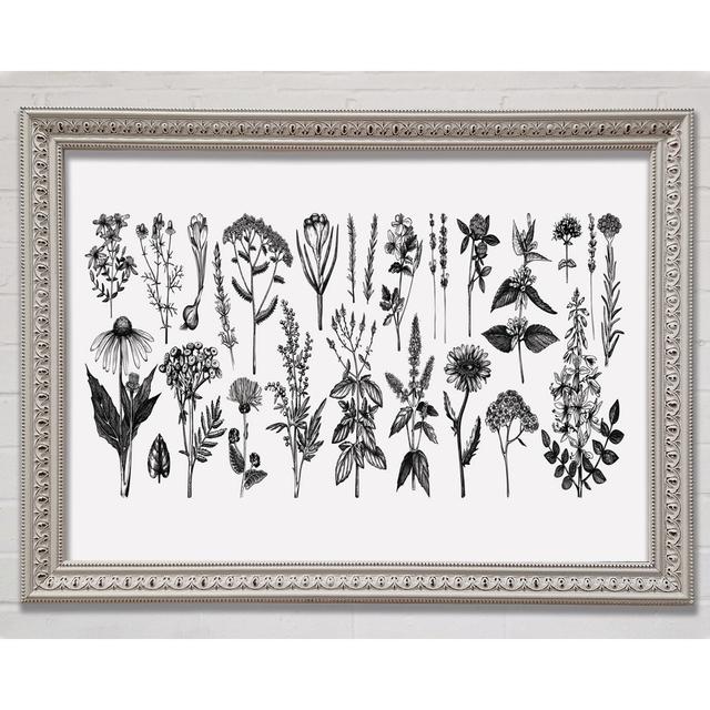 The Small Plant Collection 2 - Single Picture Frame Art Prints Bright Star Size: 59.7cm H x 84.1cm W x 3cm D on Productcaster.