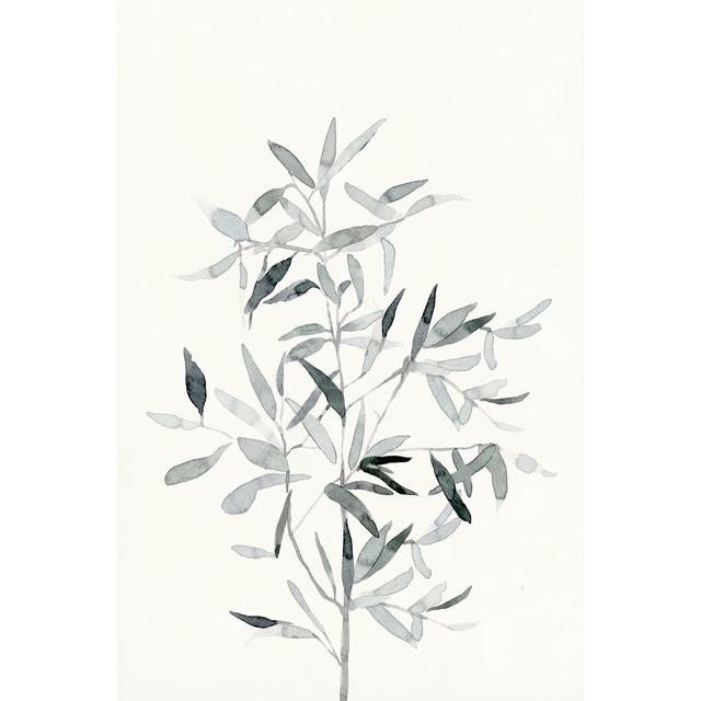 Delicate Sage Botanical VI by Emma Caroline - Wrapped Canvas Painting Print Marlow Home Co. Size: 91cm H x 61cm W on Productcaster.