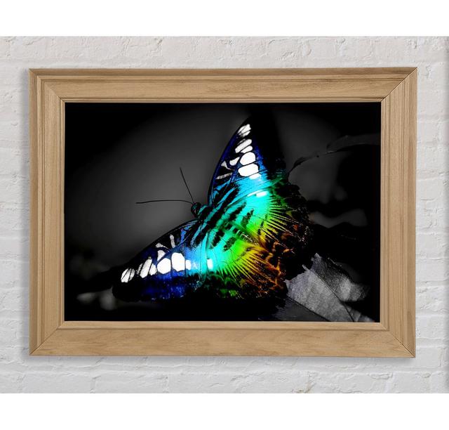 Psychedelic Butterfly 2 Framed Print Bright Star Size: 29.7cm H x 42cm W on Productcaster.