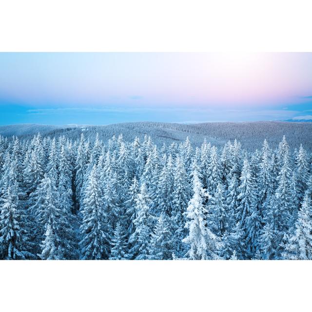 Sunrise Above The Winter Forest by Borchee - Wrapped Canvas Print Alpen Home Size: 81cm H x 122cm W on Productcaster.